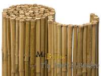 Bambus-Köln Detailansicht  Bambusrollzaun Natur