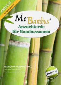 Bambus-Kln Bambus-Anzuchterde