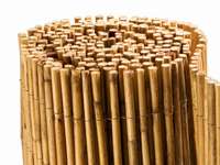 Bambus-K�ln: Bambusmatte Bangkok - Ort: K�ln