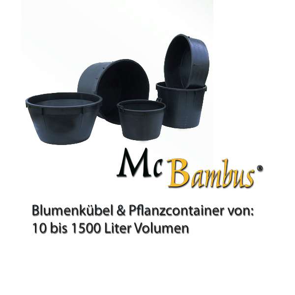 Bambus-K�ln: Container / Pflanzgef��e in verschiedenen mit und ohne Lochung - Ort: K�ln