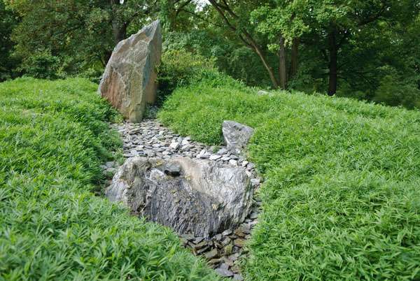 Bambus-K�ln: Pleioblastus pygmaeus - Ort: K�ln