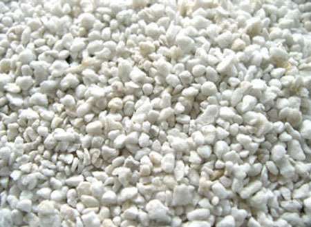 Bambus-K�ln: Perlit - Ort: K�ln