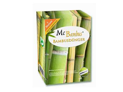 Bambus-Köln Bambuspflege